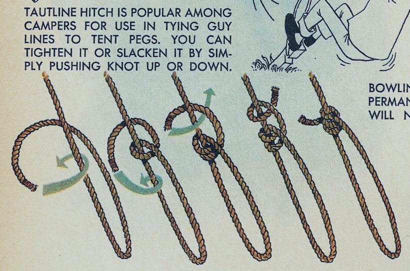 Image result for practical use of the taut-line hitch.